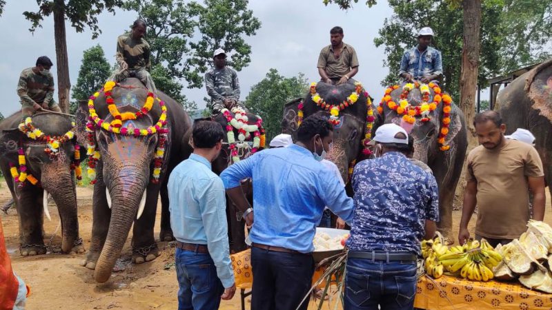 विश्व हाथी दिवस: हाथियों का संरक्षण तथा जागरूकता संबंधी कार्यक्रम सम्पन्न : वन मंत्री श्री अकबर के संदेश का हुआ वाचन