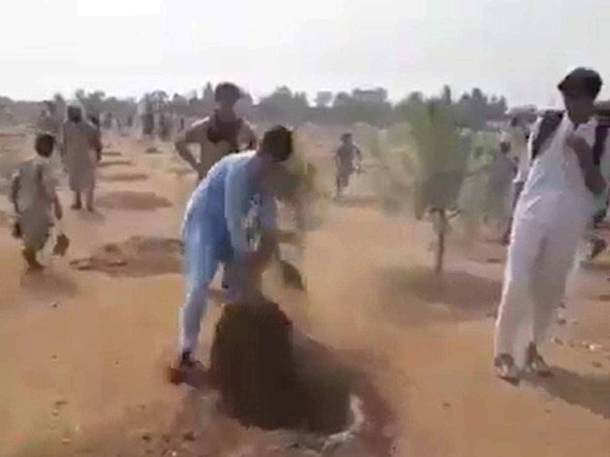 पाकिस्तान: लोगों ने क्यों उखाड़े पौधे, Video हुआ वायरल