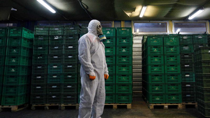 चीन ने फ्रोजन फूड का आयात रोका, आखिर Coronavirus इन्फेक्शन का कितना खतरा?