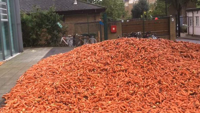 लंदन में सड़क पर फैले 29,000 किग्रा गाजर की तस्वीरें वायरल, लोगों ने पूछा- यहां क्यों डंप किया?