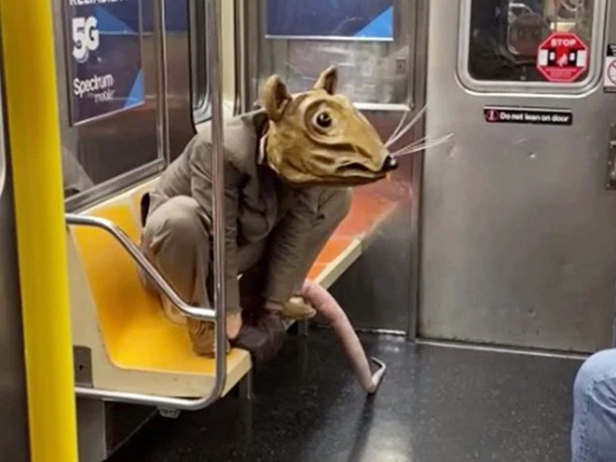 न्यूयॉर्क सबवे में घूम रहा 'आदमकद चूहा', 11 साल से उड़ा रहा लोगों के होश