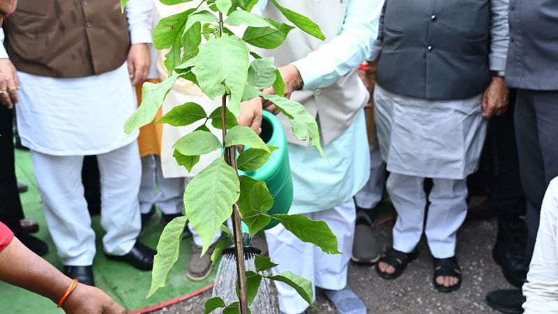 मुख्यमंत्री विष्णु देव साय ने विधानसभा आवासीय परिसर में बेल का पौधा लगाया