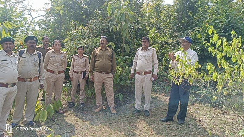 सूरजपुर : वन विभाग के अधिकारियों द्वारा कुदरगढ़ परिक्षेत्र में विचरण कर रहे बाघ की ट्रेसिंग का किया जा रहा प्रयास