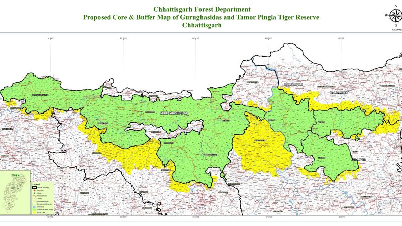 छत्तीसगढ़ में देश का 56वां टाइगर रिजर्व अधिसूचित