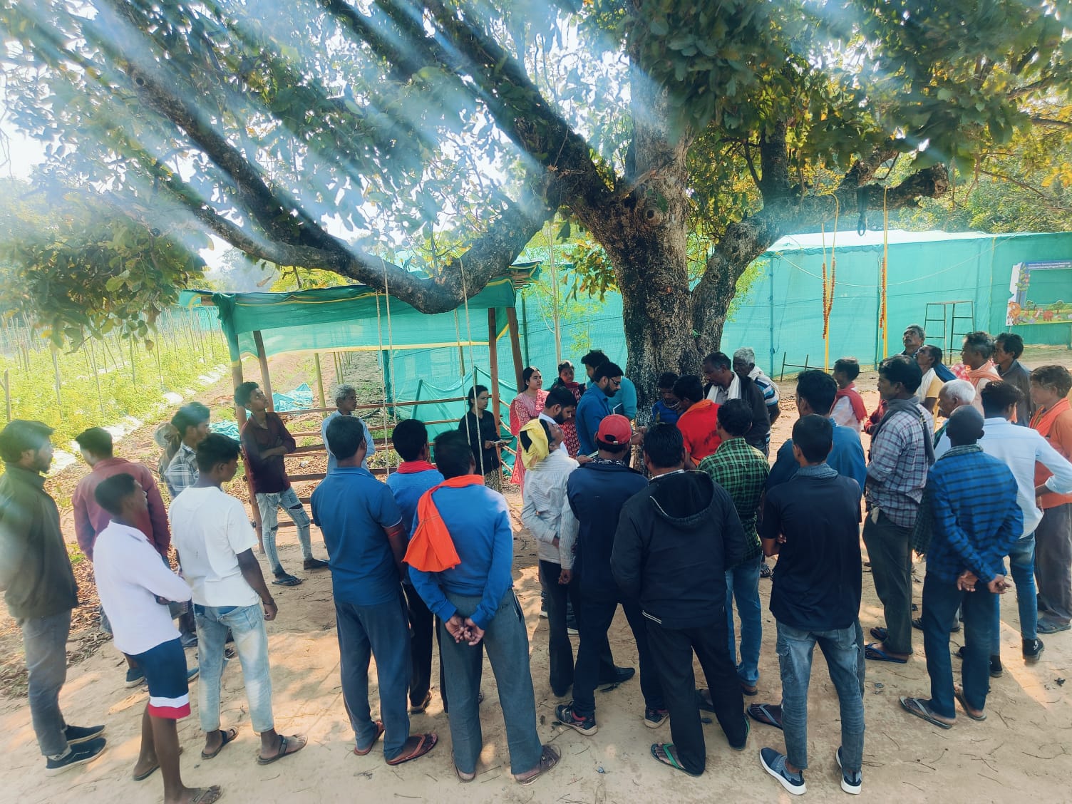 मोर जल मोर माटी ने लाख की खेती के माध्यम से ग्रामीण आय को दिया बढ़ावा