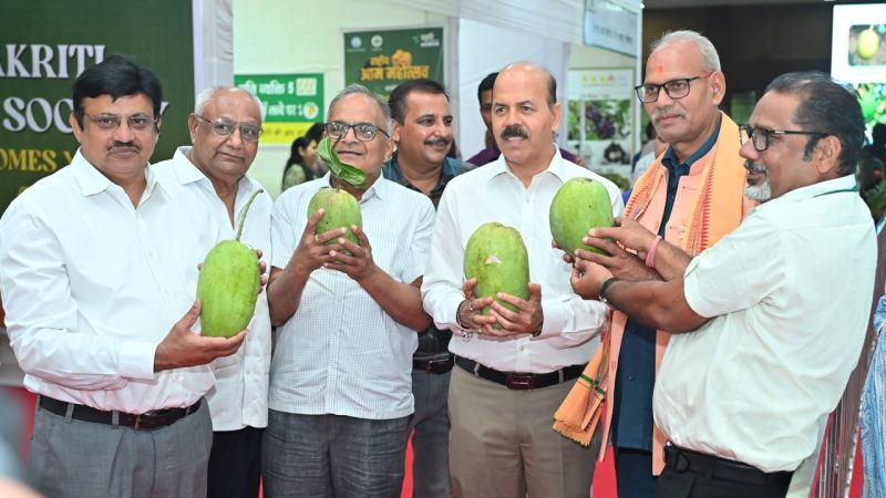 कृषि विश्वविद्यालय में तीन दिवसीय राष्ट्रीय आम महोत्सव प्रारंभ