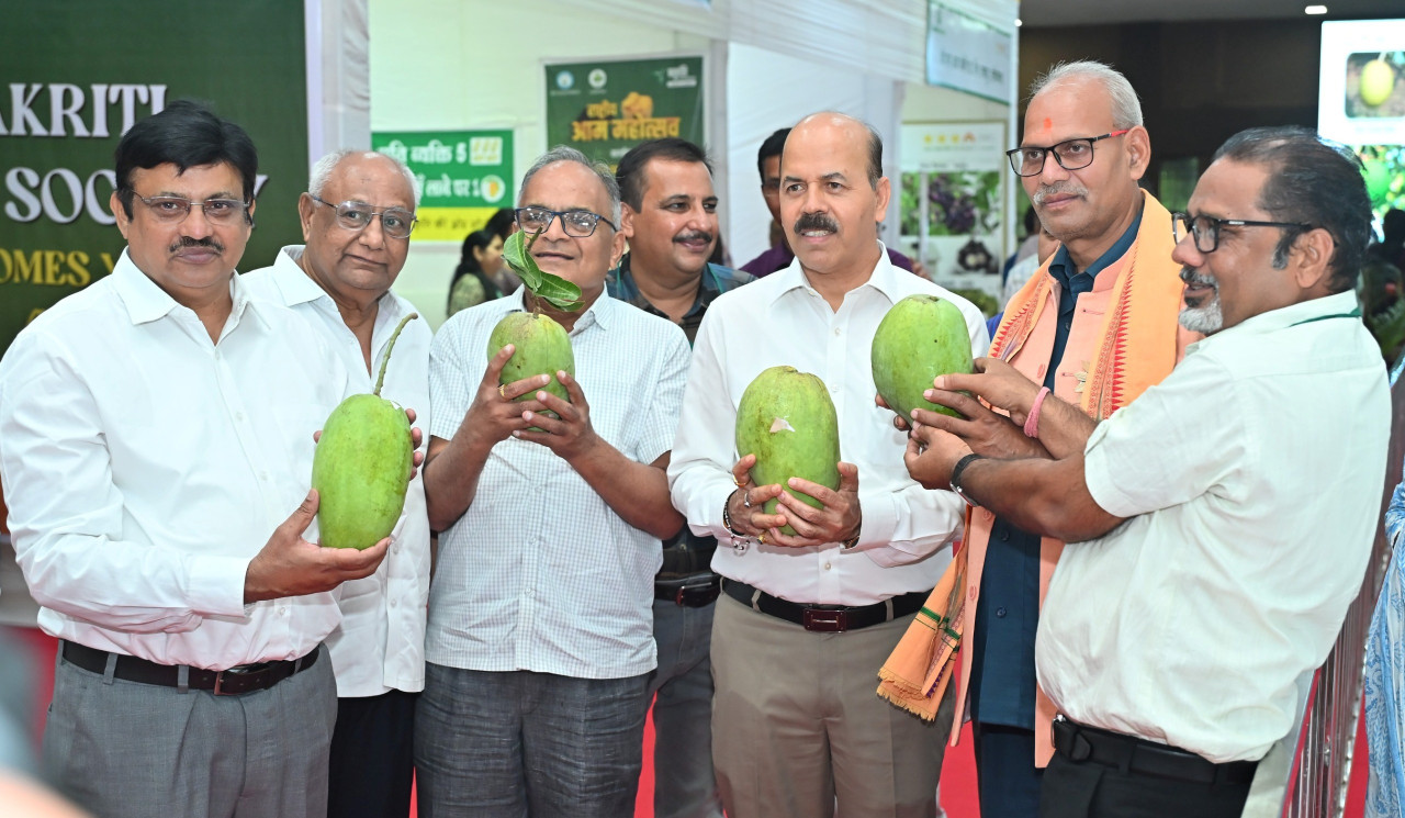 कृषि विश्वविद्यालय में तीन दिवसीय राष्ट्रीय आम महोत्सव प्रारंभ