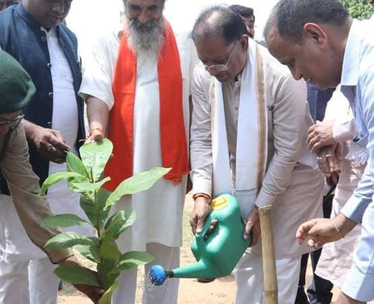 मुख्यमंत्री साय ने बादाम का पौधा लगाया