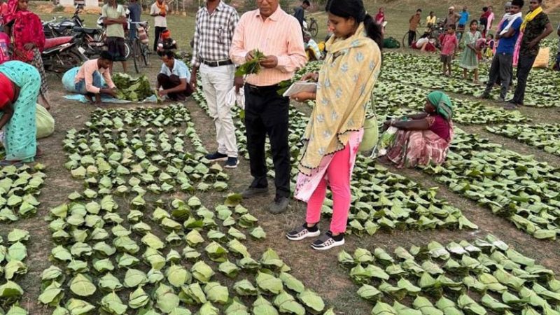मुख्यमंत्री विष्णु देव साय 21 जून को करेंगे प्रदेशव्यापी चरण पादुका योजना का शुभारंभ