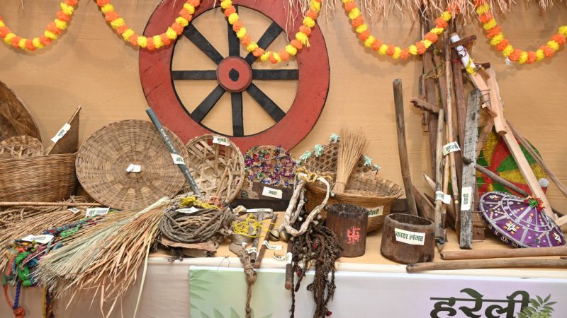 मुख्यमंत्री निवास में हरेली उत्सव: छत्तीसगढ़ी परंपराओं की झलक, पारंपरिक कृषि यंत्रों के साथ बिखरी सांस्कृतिक छटा