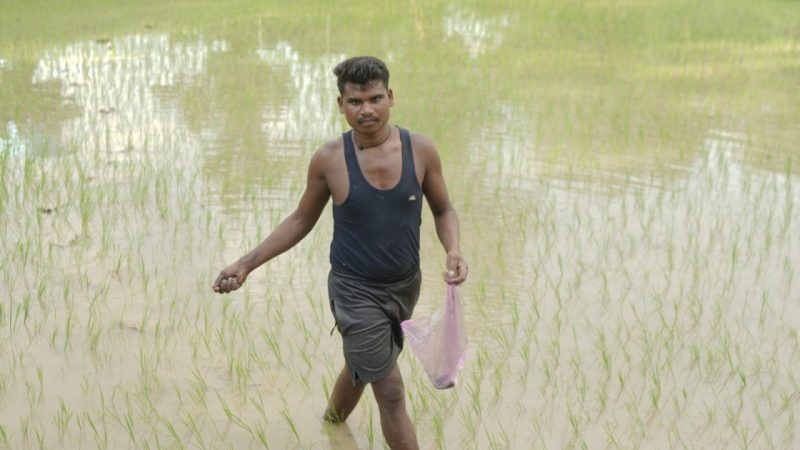 समय पर मिले खाद-बीज से युवा किसान बृजपाल की खेती हुई आसान