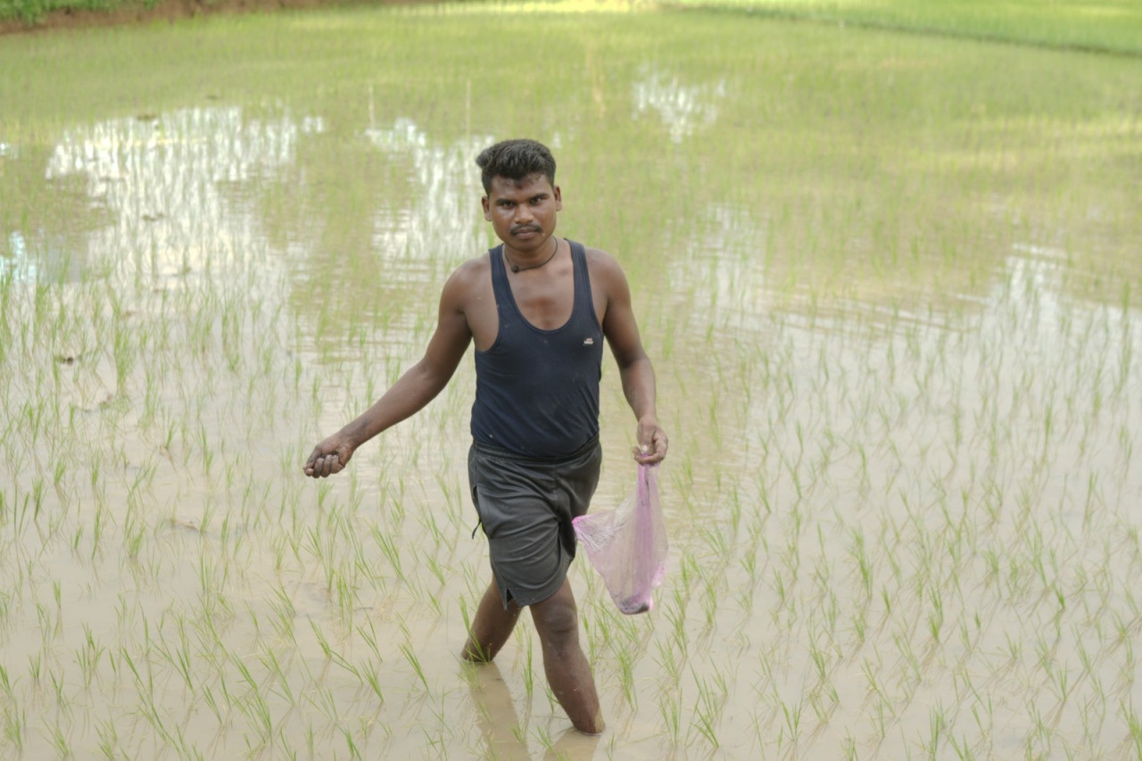 समय पर मिले खाद-बीज से युवा किसान बृजपाल की खेती हुई आसान