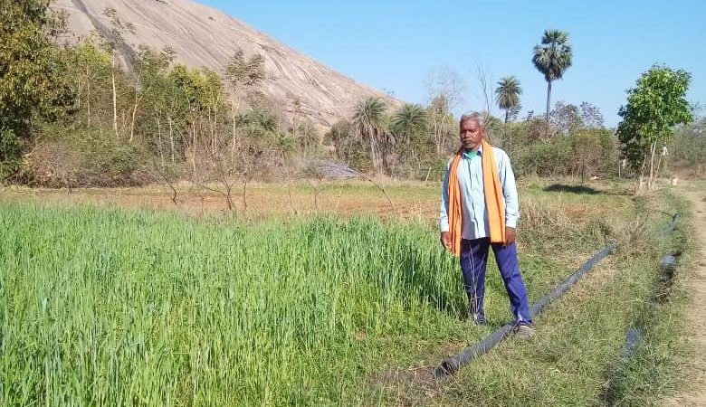 कृषक सुखसाय रबी और खरीफ फसल लेकर हो रहे लाभान्वित