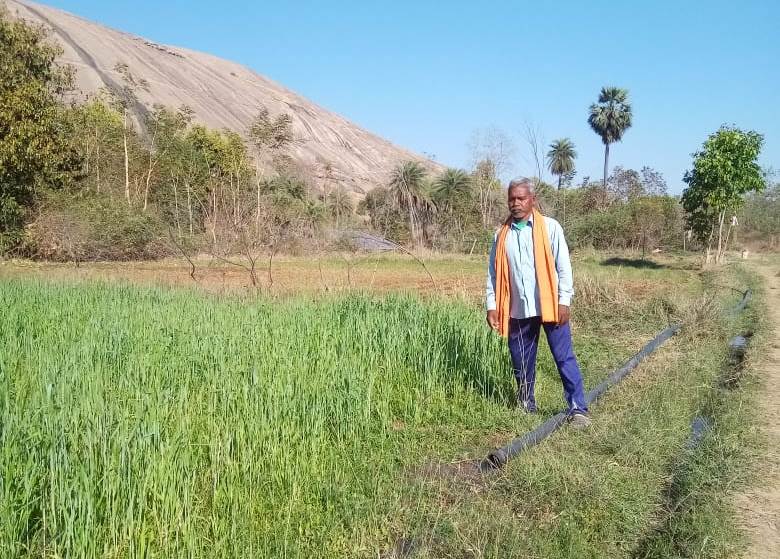 कृषक सुखसाय रबी और खरीफ फसल लेकर हो रहे लाभान्वित
