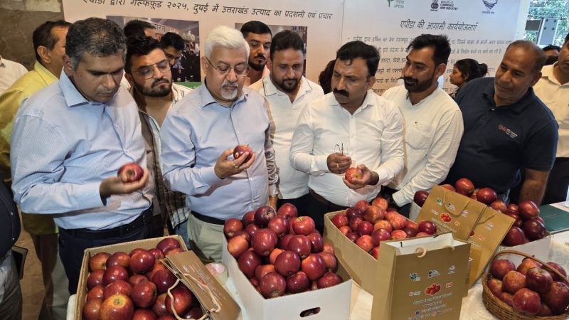 दुबई के लिए देहरादून से 1.2 मीट्रिक टन गढ़वाली सेब की खेप रवाना