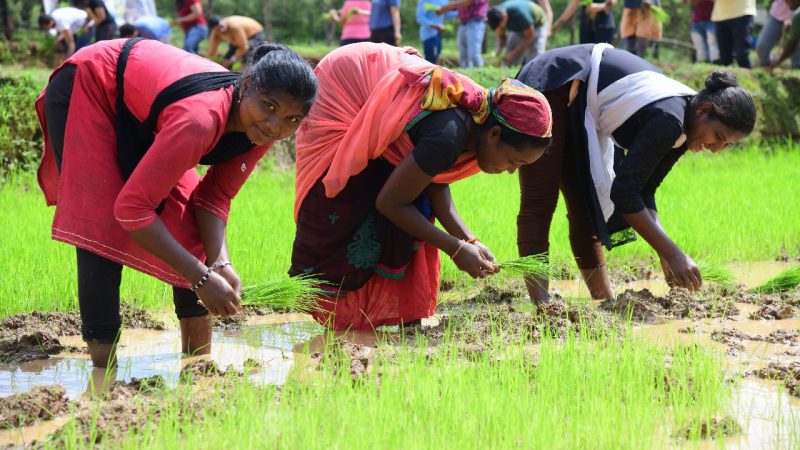 बालको की पहल से कृषि में आया बदलाव, पैदावार में वृद्धि और लागत में कमी