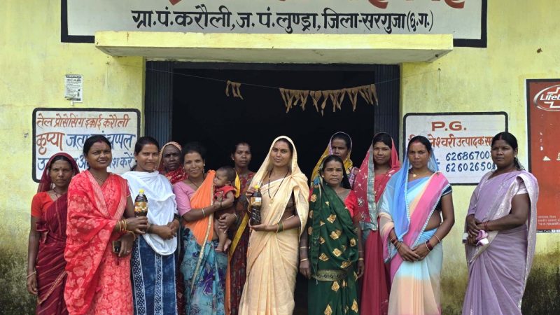 महिला सशक्तिकरण की मिसाल बन रहा सरगुजा जिले का करौली गांव
