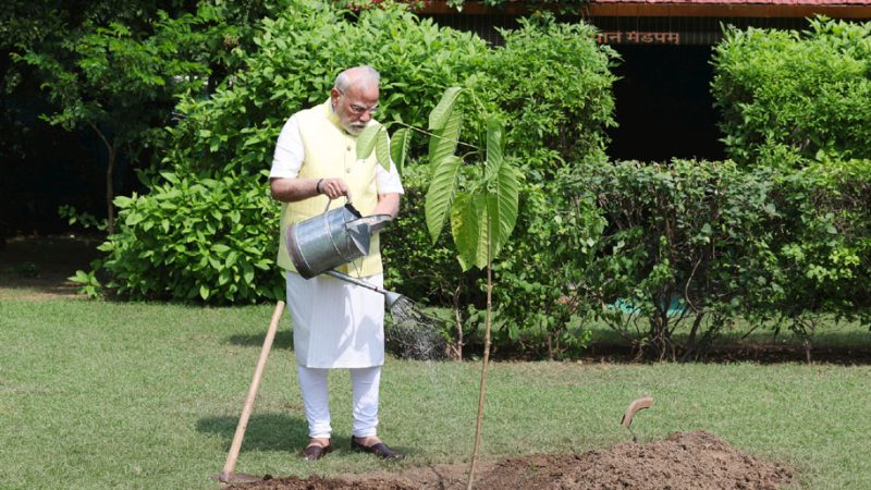प्रधानमंत्री ने प्रिंस चार्ल्स तृतीय द्वारा उपहार में दिया गया कदम्ब का पौधा लगाया