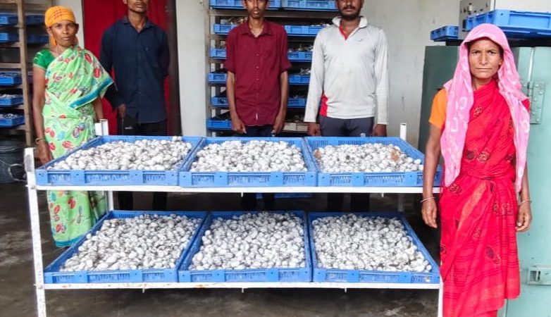 रेशम की डोर से बुनी आत्मनिर्भरता – दंतेवाड़ा की महिलाओं को मिली नई पहचान