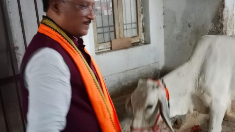 गौ-सेवा से ही मिलती है सच्ची शांति और ऊर्जा : मुख्यमंत्री विष्णु देव साय