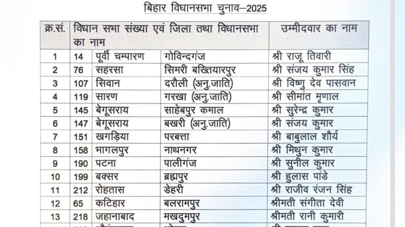 चिराग पासवान की पार्टी लोजपा (राम विलास) ने बिहार चुनाव के लिए जारी की 29 उम्मीदवारों की सूची
