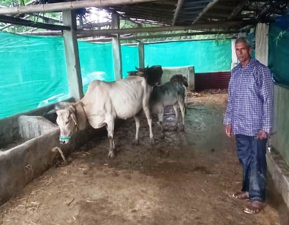 मनरेगा से बदली किस्मत : साय सरकार की योजनाओं से रामफल बने आत्मनिर्भर किसान