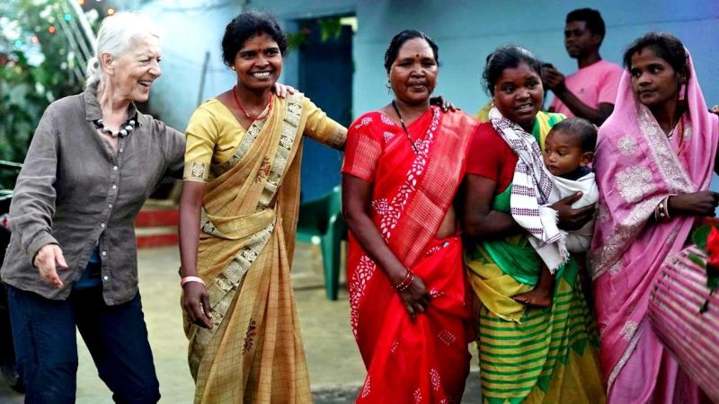 मुख्यमंत्री विष्णुदेव साय की पहल से पर्यटन के अंतर्राष्ट्रीय पटल पर उभर रहा है जशपुर