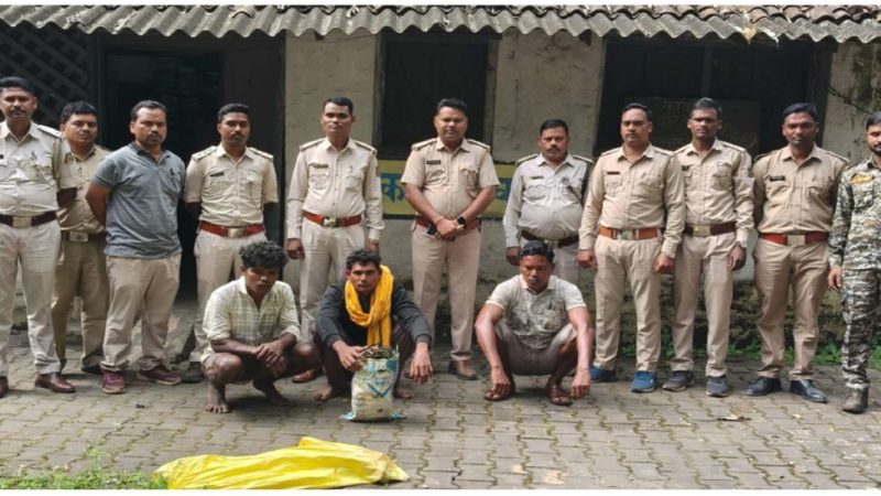 वन विभाग की तत्परता से पकड़े गए तीन आरोपी