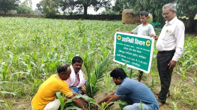 बंदूक की गूंज से फलों और फूलों की महक तक का सफर