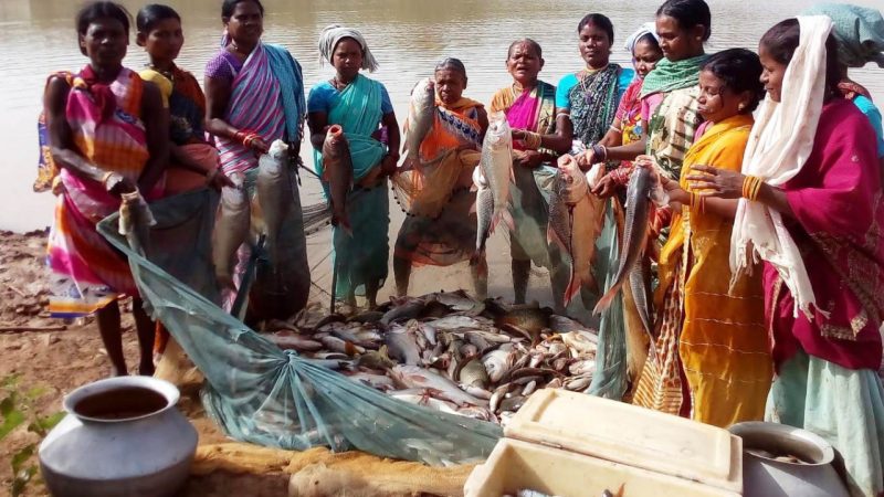 बस्तर में हो रहा नीली क्रांति का आगाज