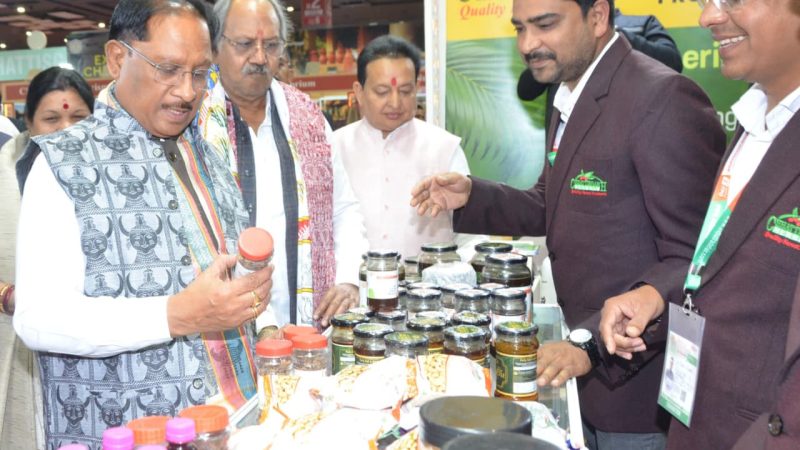 अंतरराष्ट्रीय व्यापार मेले में मुख्यमंत्री विष्णुदेव साय ने छत्तीसगढ़ पेवेलियन का किया अवलोकन