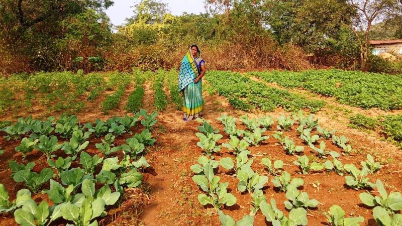 राष्ट्रीय ग्रामीण आजीविका मिशन ‘बिहान’ से बदली तकदीर, आत्मनिर्भरता की बनी मिसाल