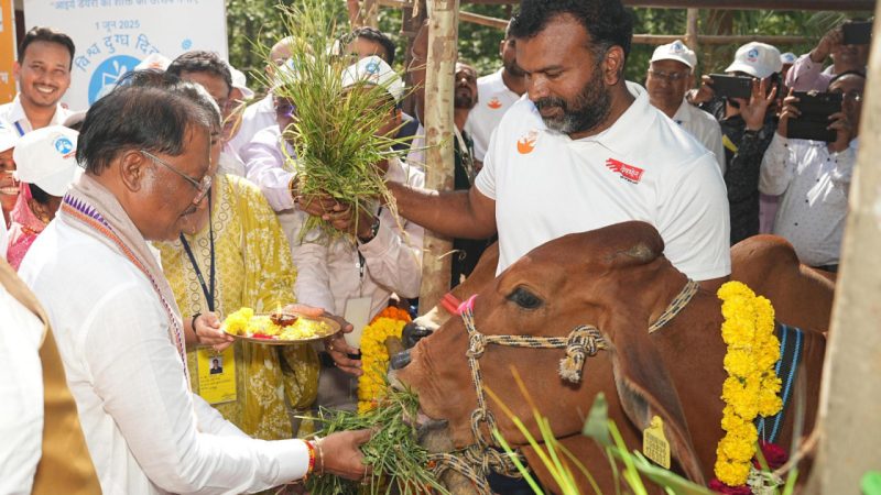 बस्तर संभाग में महिलाएं डेयरी व्यवसाय से बन रही हैं आत्मनिर्भर