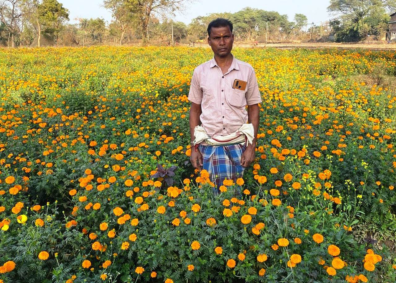 धान से गेंदा फूल तक का सफर- बरगांव के देवानंद निषाद ने एक एकड़ में कमाए ढाई लाख