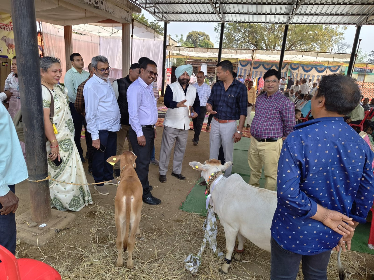 केन्द्रीय पर्यवेक्षकों ने छत्तीसगढ़ में पशुधन योजनाओं का लिया फीडबैक