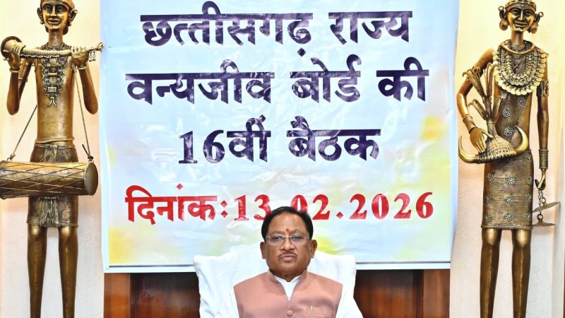 वन्यजीवों के प्राकृतिक आवास की सुरक्षा और सह-अस्तित्व के सिद्धांतों के अनुरूप हो सभी गतिविधियों का संचालन : मुख्यमंत्री साय