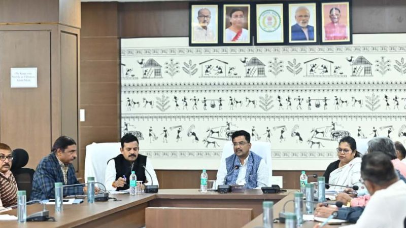 शहीद वीर नारायण सिंह संग्रहालय फेस-2 का कार्य जल्द होगा प्रारंभ: सोनमणि बोरा