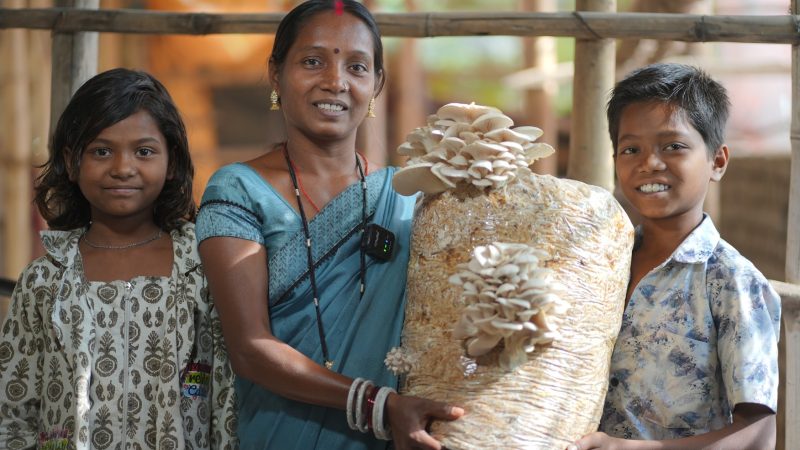 बालको की उन्नति परियोजना ने बदली ज़िंदगी, गंगोत्री से मशरूम दीदी बनने का सफर