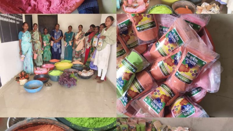 राष्ट्रीय ग्रामीण आजीविका मिशन से महिलाओं को मिली नई पहचान