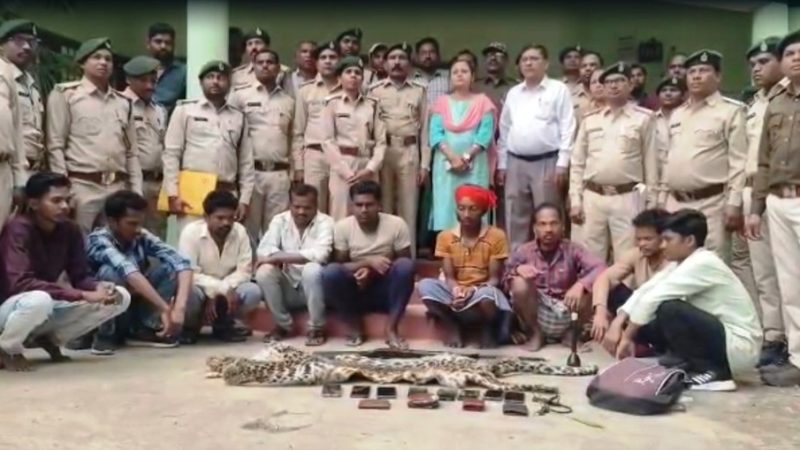 तेंदुए की खाल की तस्करी पर वन विभाग की बड़ी कार्रवाई, 9 आरोपी गिरफ्तार