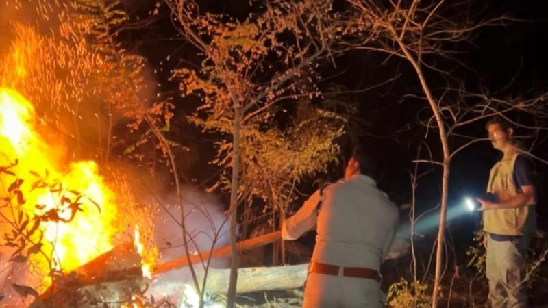 होली के दिन भी वनों की सुरक्षा में जुटे रहे वनकर्मी