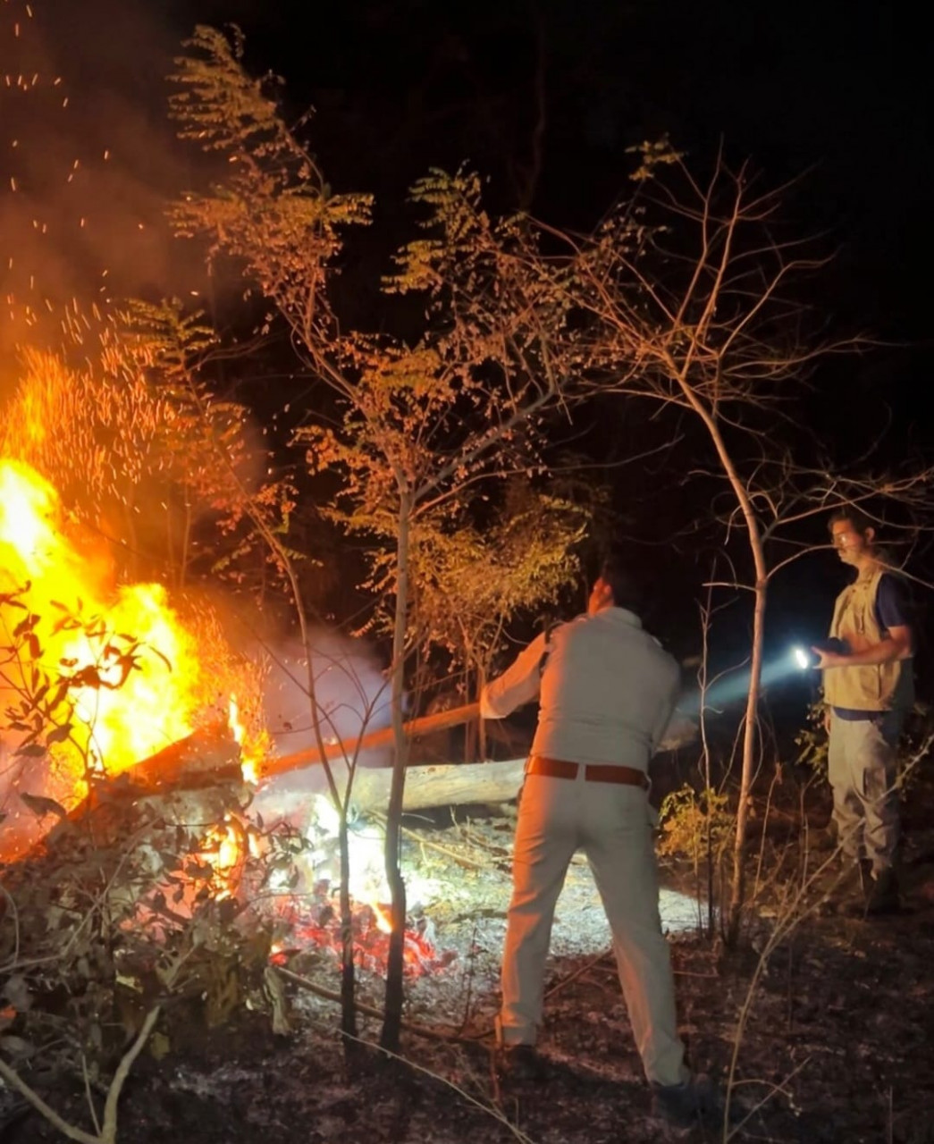 होली के दिन भी वनों की सुरक्षा में जुटे रहे वनकर्मी