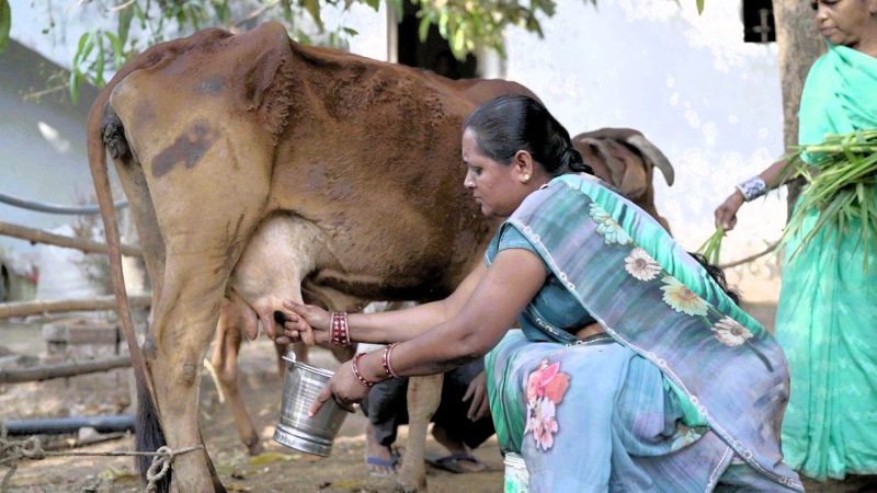 आत्मनिर्भरता की मिसाल: औराटोला बना बालोद का पहला लखपति दीदी ग्राम