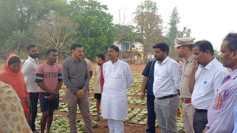 वन मंत्री केदार कश्यप ने दहिकोंगा तेंदूपत्ता फड़ का किया निरीक्षण