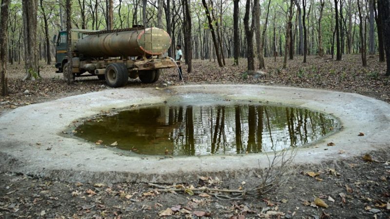 भीषण गर्मी में वन्यजीवों के लिए ‘संजीवनी’ बना बारनवापारा