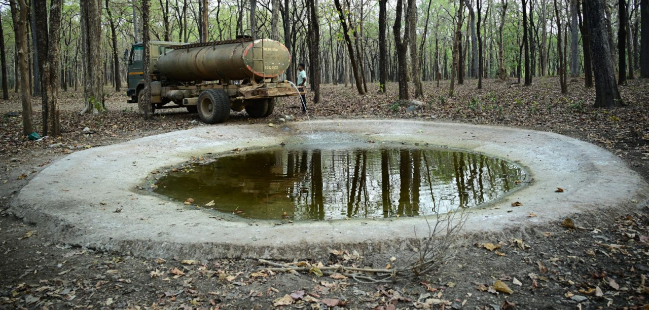 भीषण गर्मी में वन्यजीवों के लिए ‘संजीवनी’ बना बारनवापारा