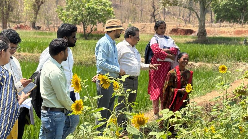 एकीकृत कृषि और आजीविका के लिए ‘दीदी के बखरी’ से आ रही नई क्रांति कांकेर जिले की पहल