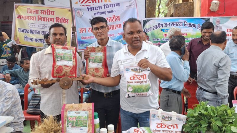 लैलूंगा की पहचान बना ‘केलो’ जैविक जंवाफूल चावल