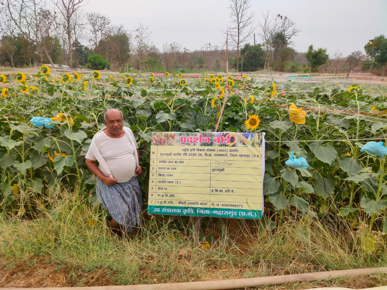 ग्रीष्मकालीन तिलहन खेती से समृद्धि की ओर अग्रसर किसान