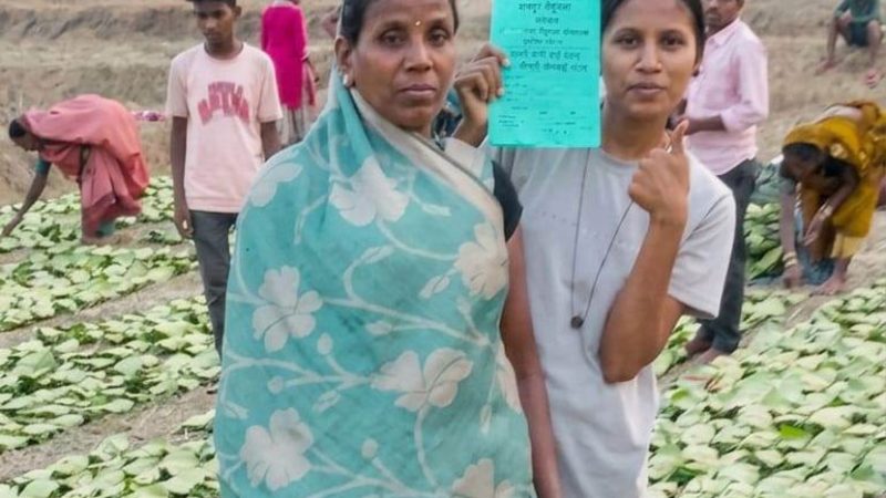 ’हरा सोना’ बना समृद्धि का आधार : तेंदूपत्ता खरीदी की बढ़ी दर ने संग्राहकों का बढ़ाया उत्साह व भरोसा, हर फड़ पर रौनक